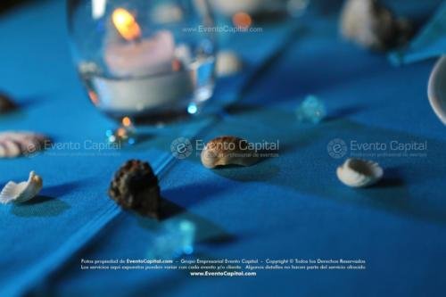 tematica oceano mar (8)
