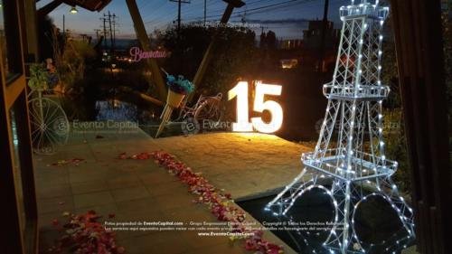 tematica paris aviso love 15 sillas (4)