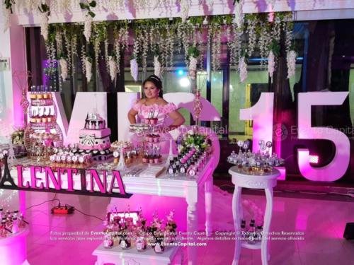tematica paris luz led club militar (27)