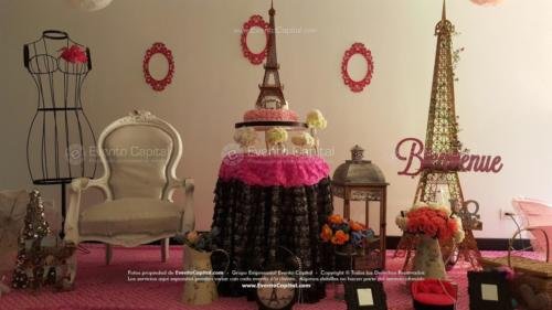 tematica paris montaje ponque (1)
