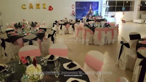 tematica paris negro rosado (2)