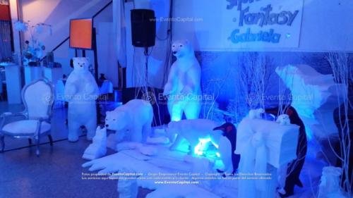 tematica artica hielo polar (1)