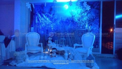 tematica polar artica (12)