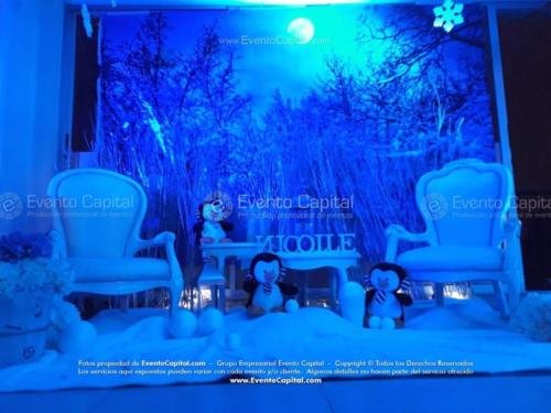 tematica polar artica (16)