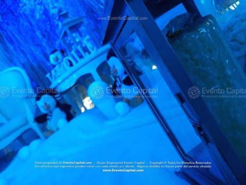 tematica polar artica (19)