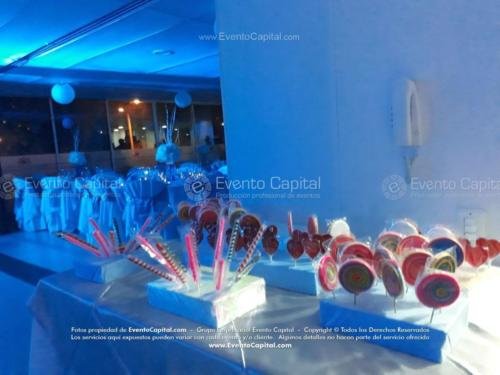 tematica polar artica (4)