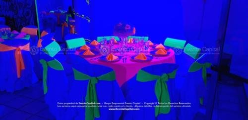 tematica neon quinces (13)
