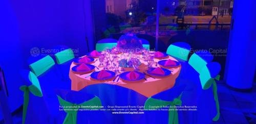 tematica neon quinces (14)