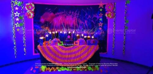 tematica neon quinces (19)
