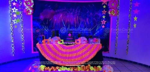 tematica neon quinces (2)