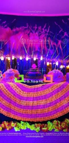 tematica neon quinces (20)