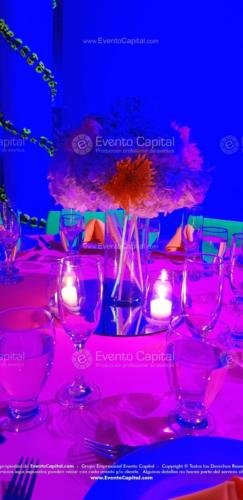 tematica neon quinces (21)