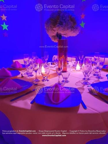 tematica neon quinces (26)