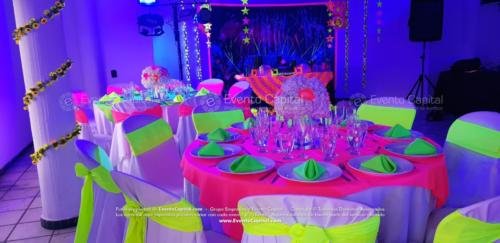 tematica neon quinces (5)