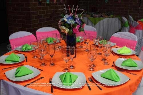 tematica neon rumba (4)